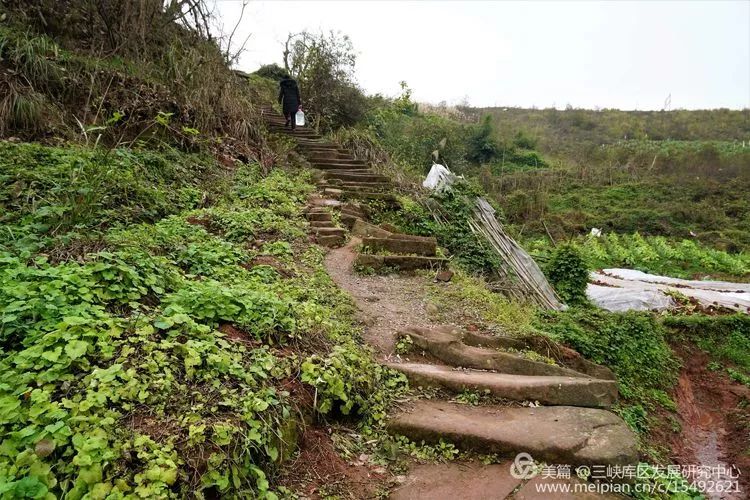 北碚复兴镇最近的视频,重庆市北碚龙门桥