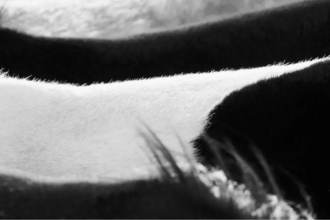 影博会,影展展会