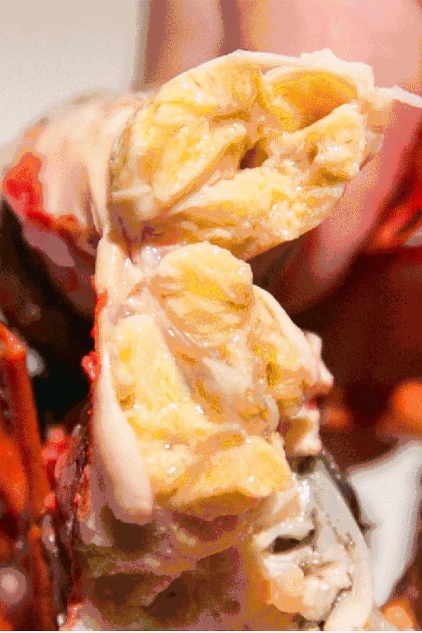 全疆25县特产,疆产特产