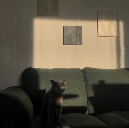 适合全职宝妈在家做的正规兼职,兼职在家挣钱的方法正规