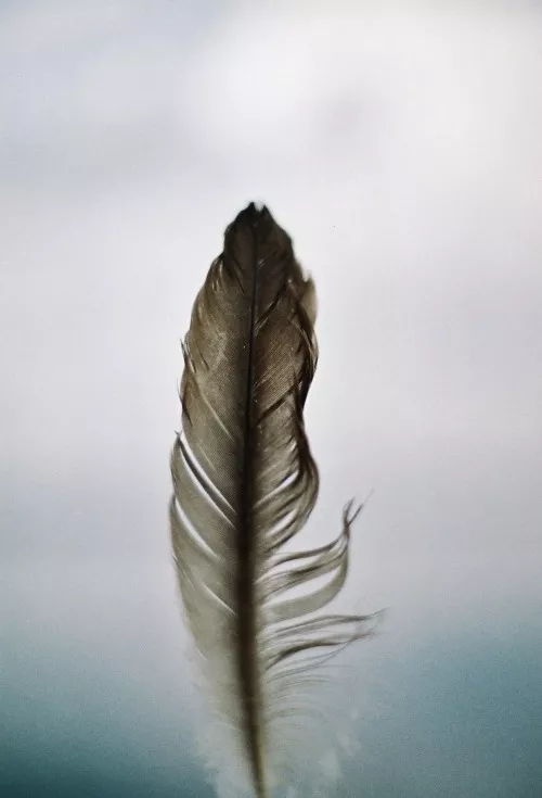 被女朋友说幼稚太伤心,女朋友说我幼稚我该怎么办呢