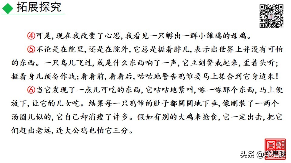 七上人教版第十七课动物笑谈课件,七上语文动物笑谈