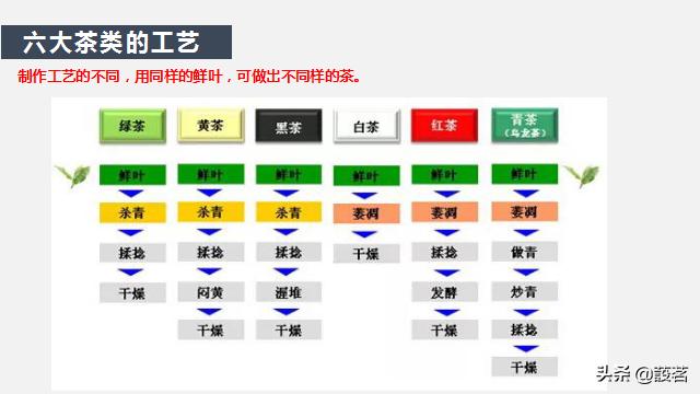茶叶知识零基础入门手册书电子版,茶叶基础知识讲解课件视频