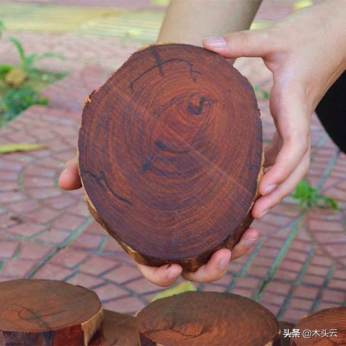 木材本身什么味道,未见其木先闻其味什么意思