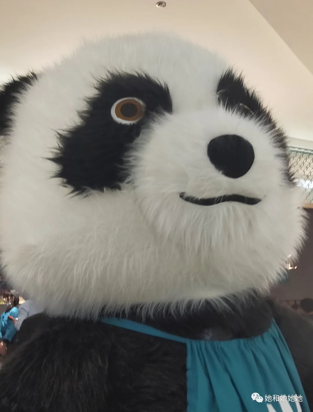 唯品会奥莱南京,唯品会城市奥莱怎么样