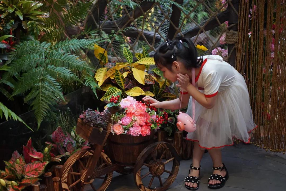 占地30000㎡！这艘建在安华汇天台上的巨船，竟是亲子乐园