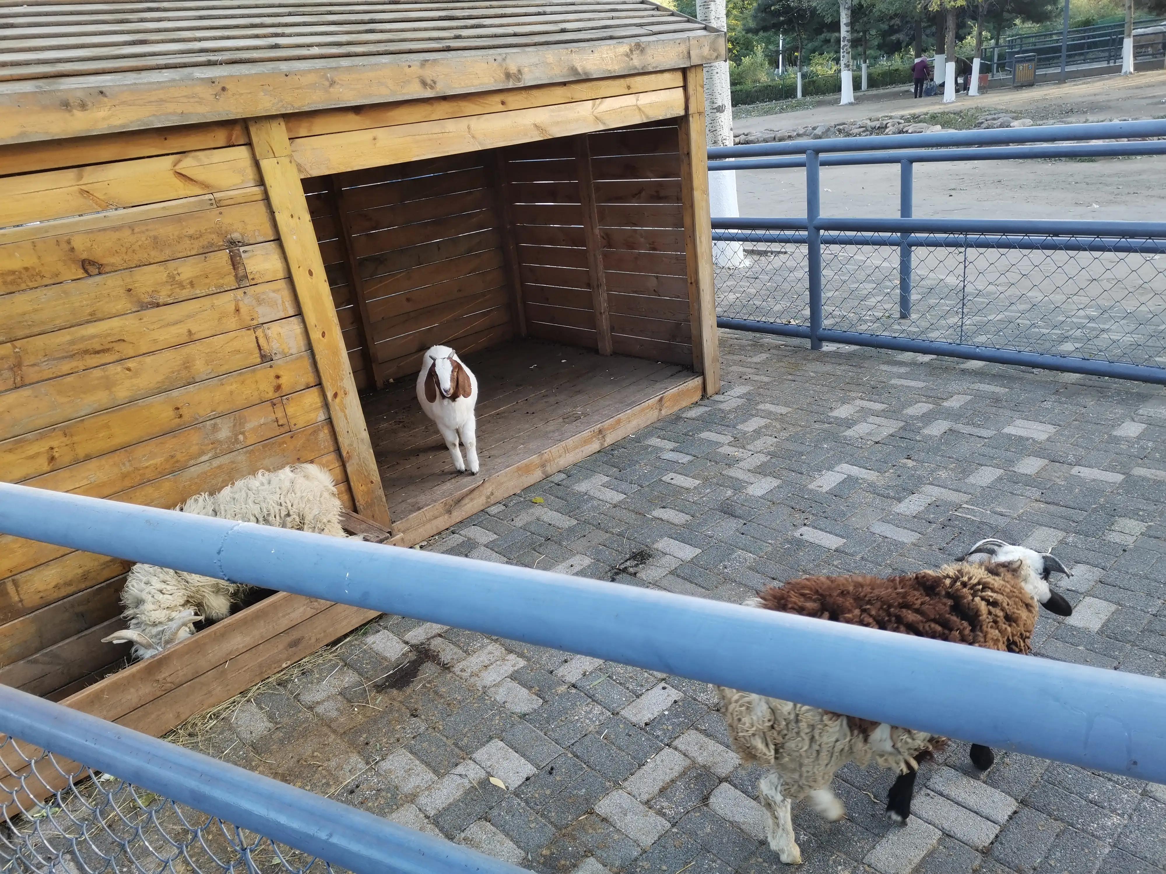 沈阳长白岛森林公园旅游攻略,沈阳长白岛森林公园冬天瀑布