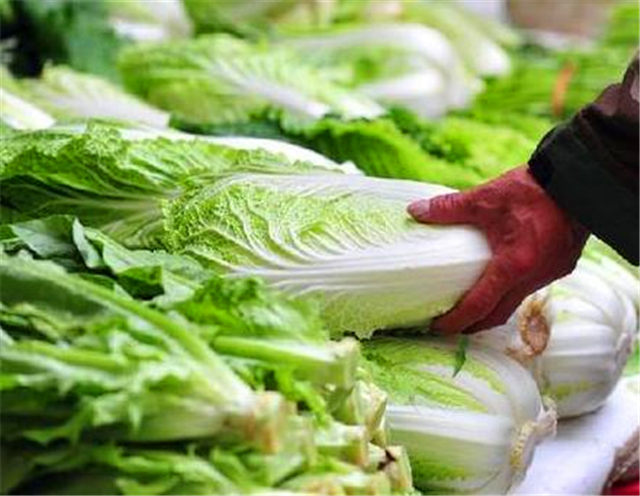 为什么韩国白菜那么贵还要吃白菜,韩国白菜为啥那么贵