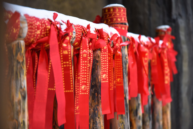 冰雪总动员简介,冰雪总动员