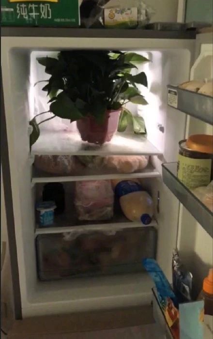 张铭恩调侃徐璐完整版,张铭恩说没对徐璐心动过