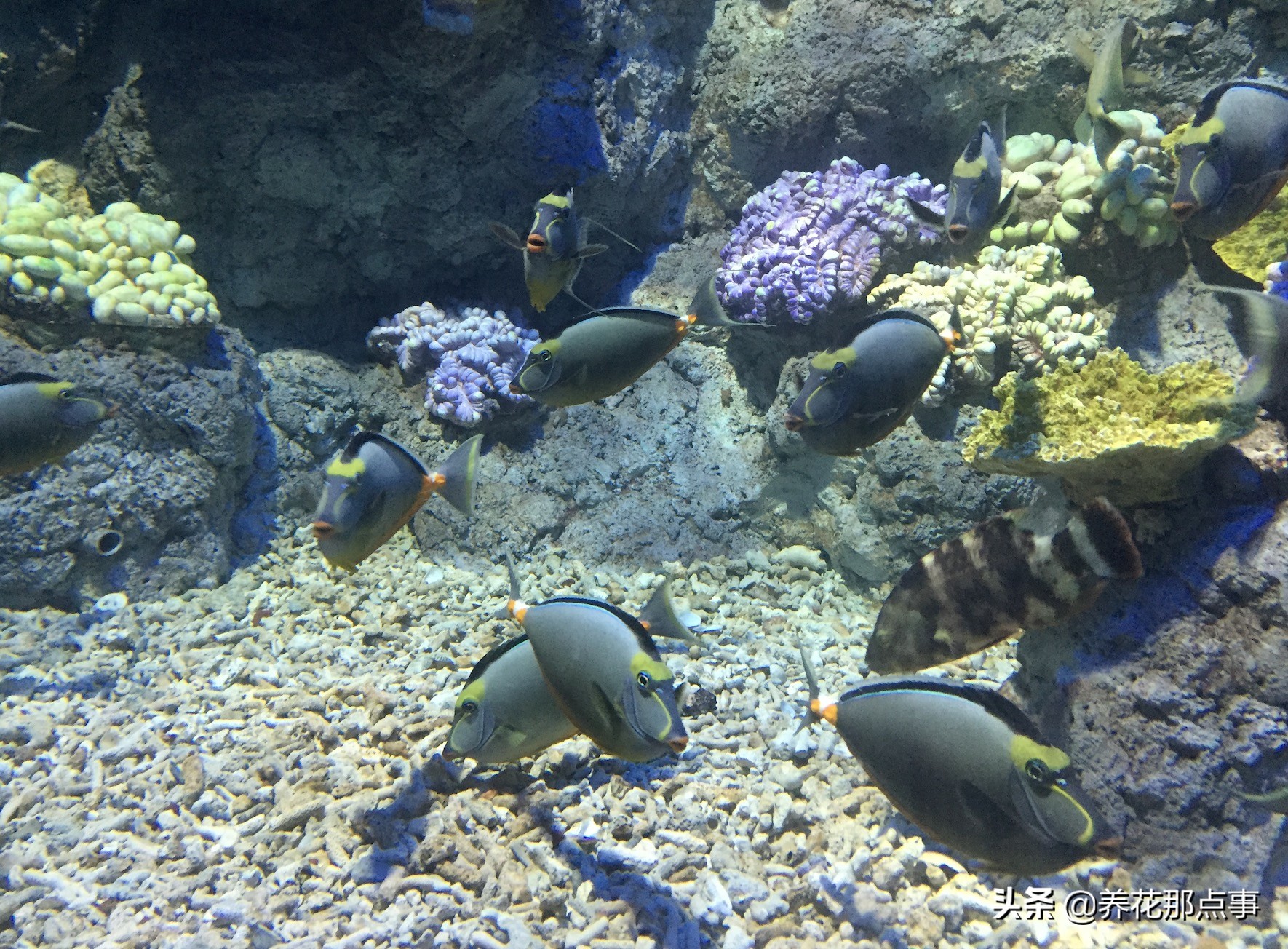 福州景点旅游视频,去福州旅游自由行攻略图