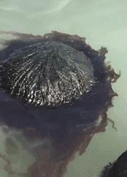 看了整整七分钟，他们最终还是上去了