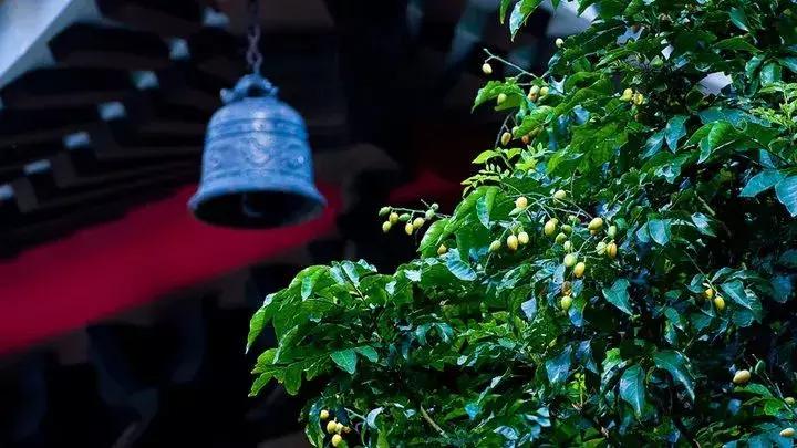 人死后去阴间的全过程,看醒了很多人