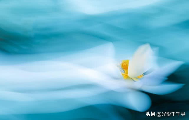 教你怎么拍出漂亮的荷花,摄影如何拍出荷花的感觉