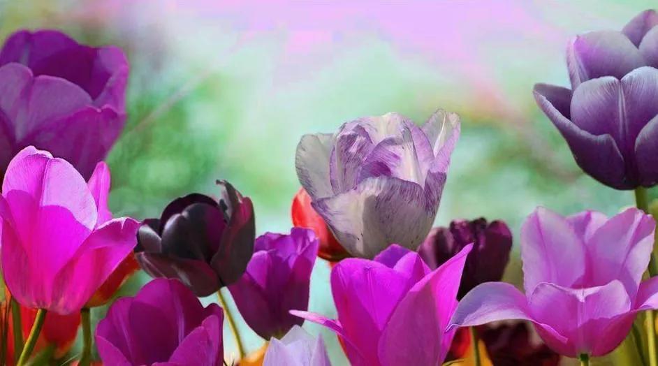 小人是如何控制你的,怎么面对生活中的小人