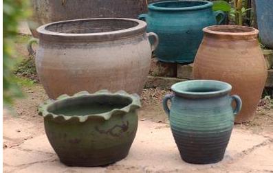 如何为你的植物选择合适的花盆,怎么选择合适的花盆口径