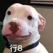 阿娇买包看老公脸色,阿娇自己买包