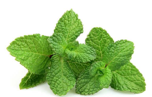 崔雪莉抑郁自杀,英国伯奢BOXURY发现痘痘竟然也能引发抑郁