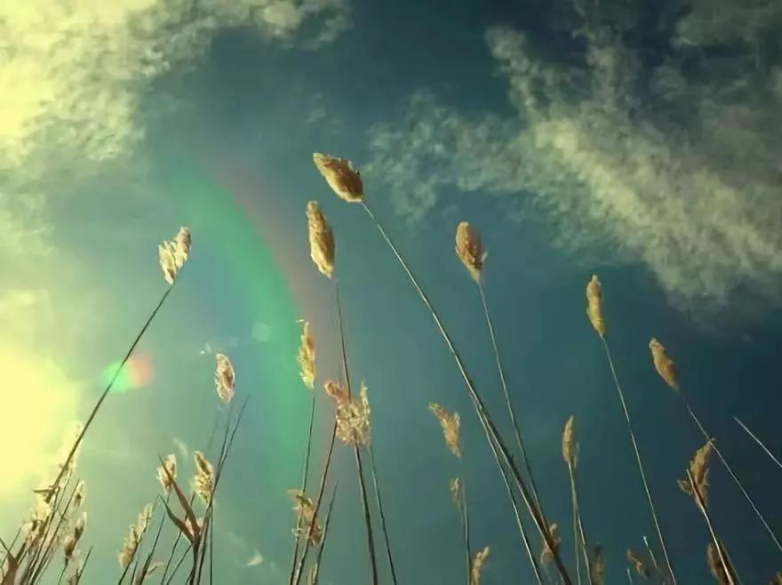 皮肤科主任王教授,上海中医院皮肤科王教授