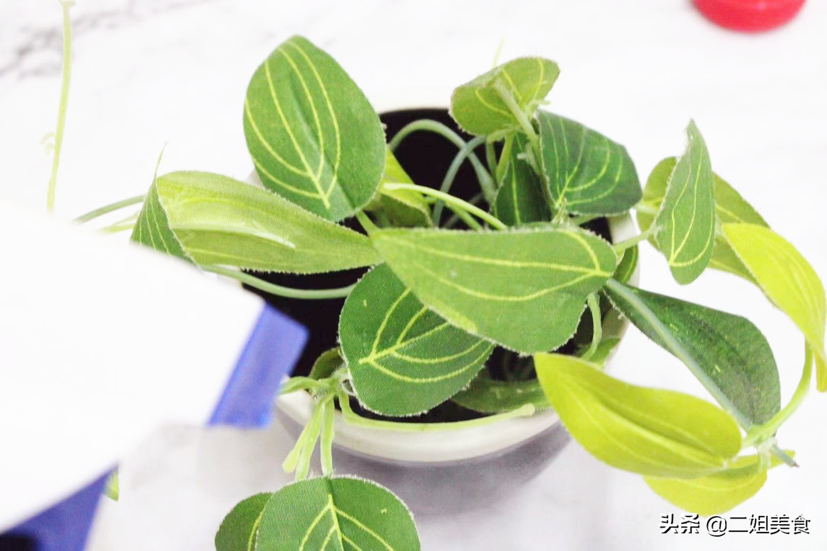 发芽的大蒜别丢,发芽的大蒜先别扔