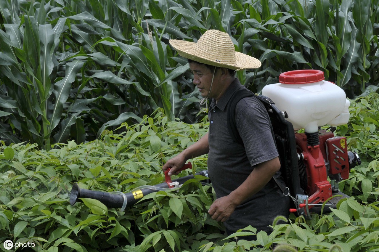 杀菌剂的治疗作用是什么,各种杀菌剂的类型及防治