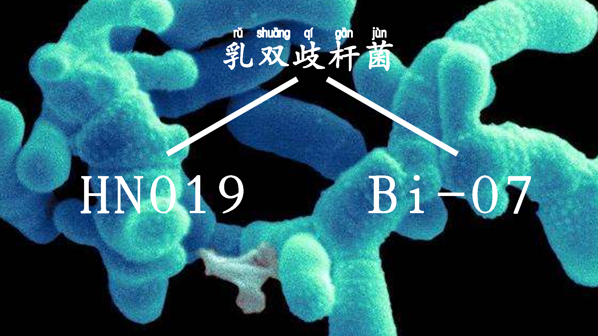 提高免疫力从宝宝抓起,给小孩提高抵抗力和免疫力
