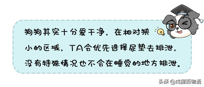 怎么解决狗狗在屋内随地乱拉,狗狗乱拉最好最简单方法
