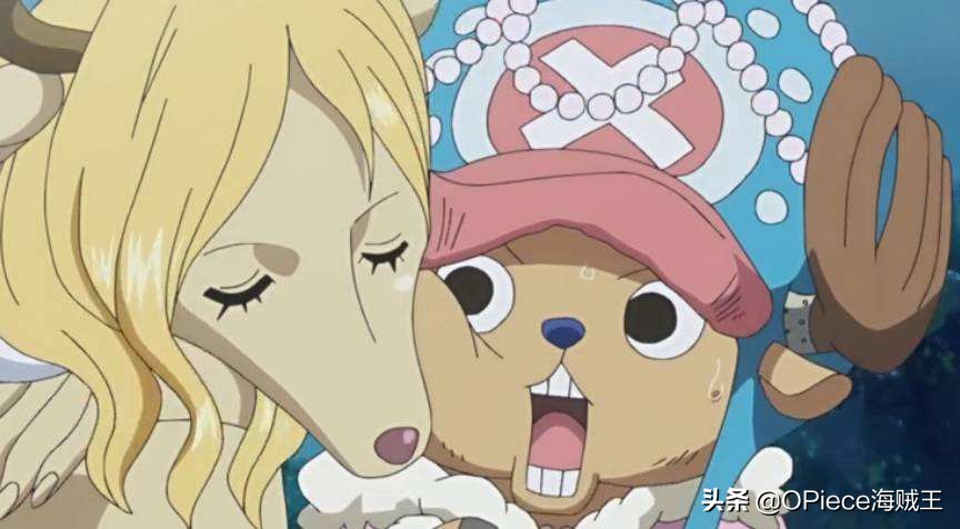 当海贼王结束时罗宾还在吗,当海贼王完结的时候一切从头再来