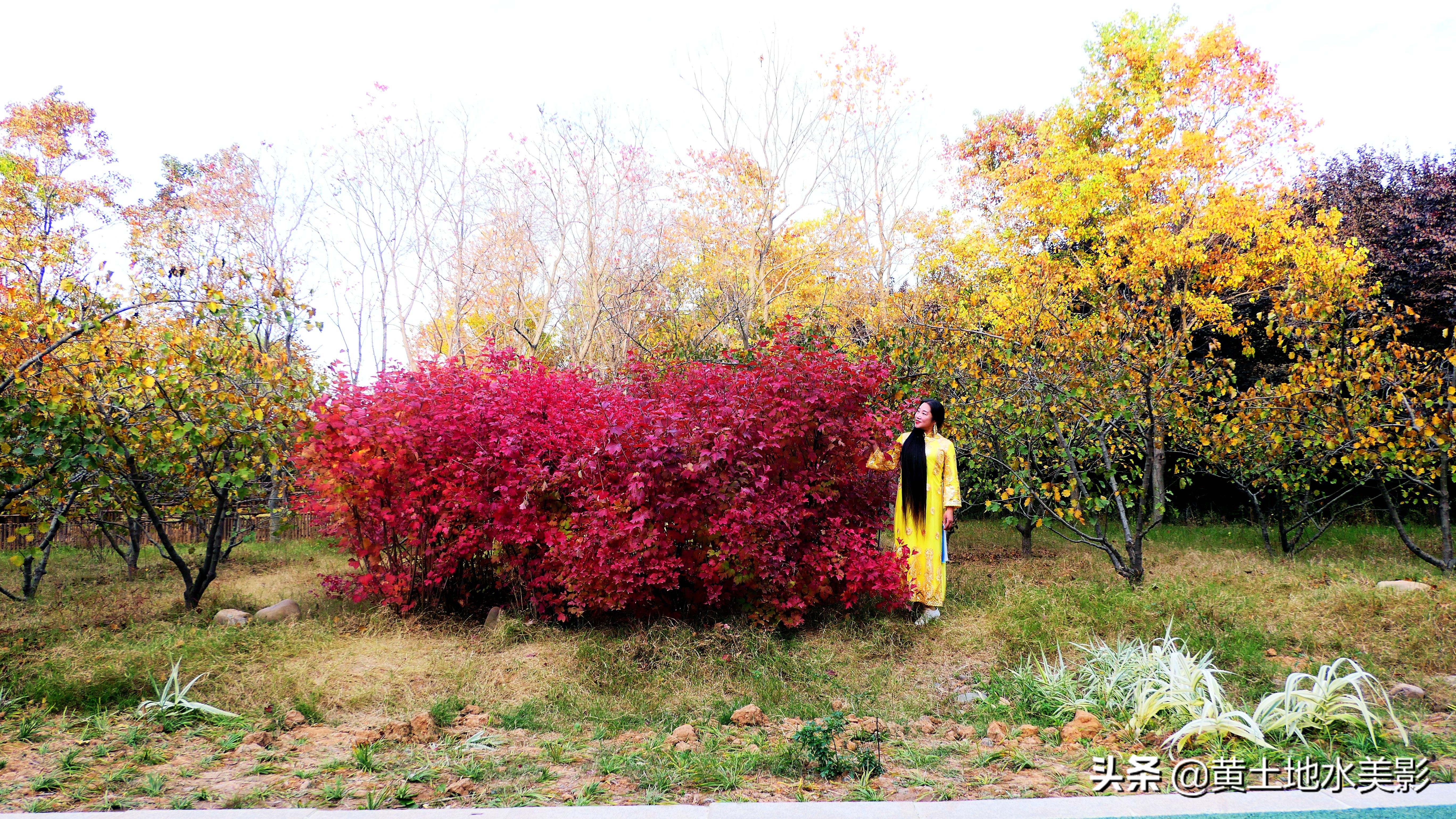 免费游玩东湖公园攻略,游玩国家湿地野鸭湖