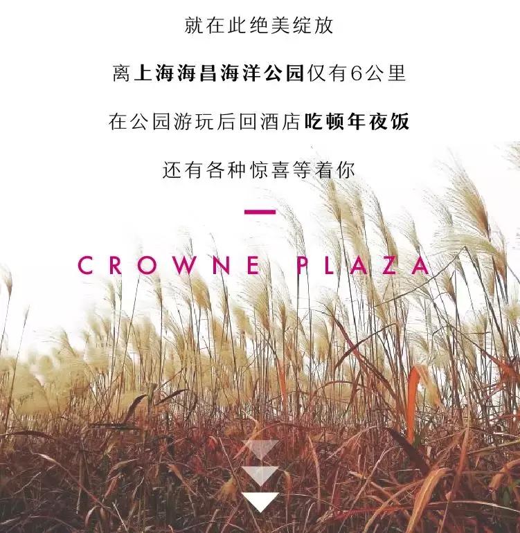 美到犯规的地方,魔都滴水湖酒店