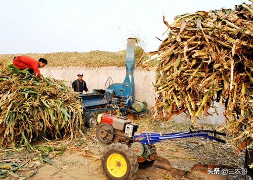 农村适合年轻人创业小项目,农村适合穷人的18个创业项目