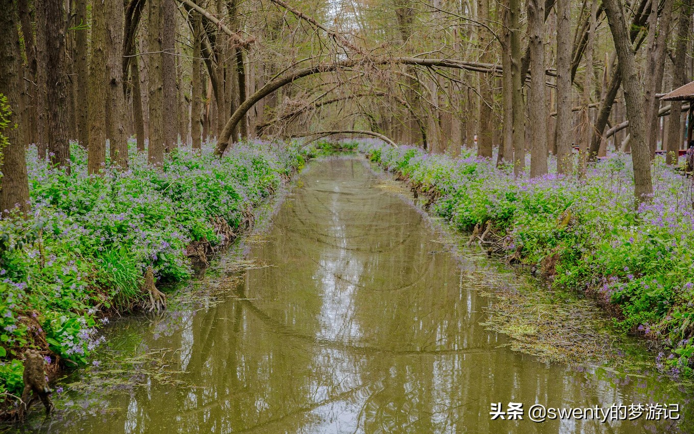 绿野仙踪越南完整版,隐藏在大山深处的绿野仙踪