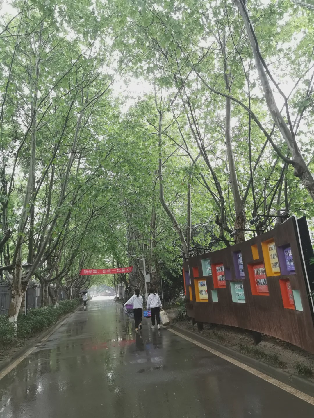 细雨过后空气清新,春雨过后的泥土气息