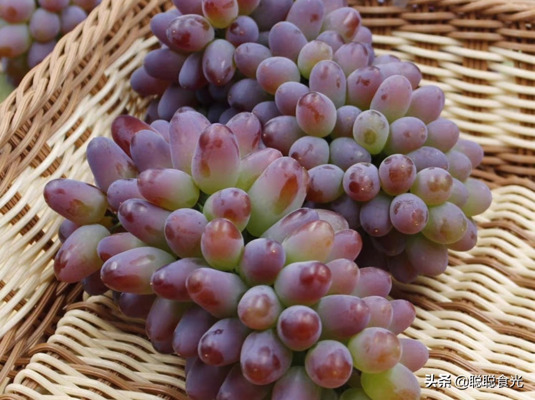 09钁¤悇鍝佺鐨勪紭缂虹偣,鏃╁法瀹濊憽钀勫搧绉嶄紭缂虹偣