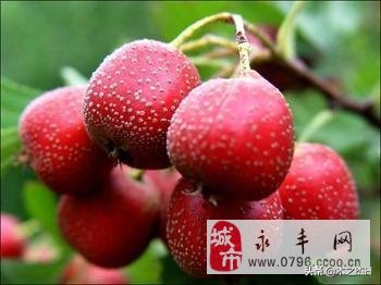 我国32个省市的特产，作为国人的你知道多少？