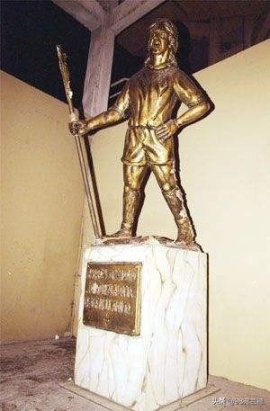 紫百合是佛罗伦萨吗,紫百合佛罗伦萨安切洛蒂