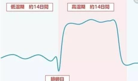 怀孕了不害喜是怎么回事,怀孕如果有问题可以查出来嘛