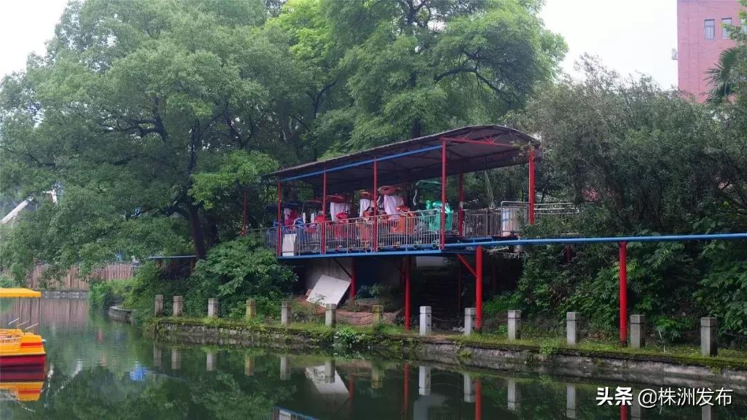 春日大自然美景视频,春日公园游玩美图视频