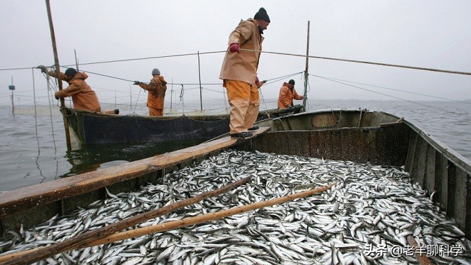 掌握朝鲜半岛的“救命鱼”，俄罗斯却拱手让中国，究竟有何企图？