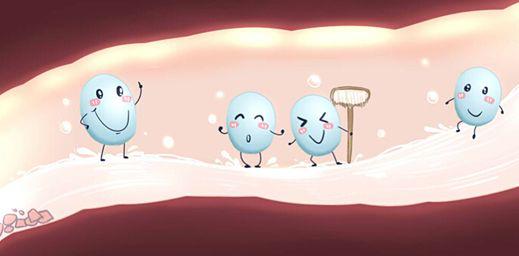 宝宝便秘哪种益生菌比较好用,宝宝便秘什么样的益生菌效果最好