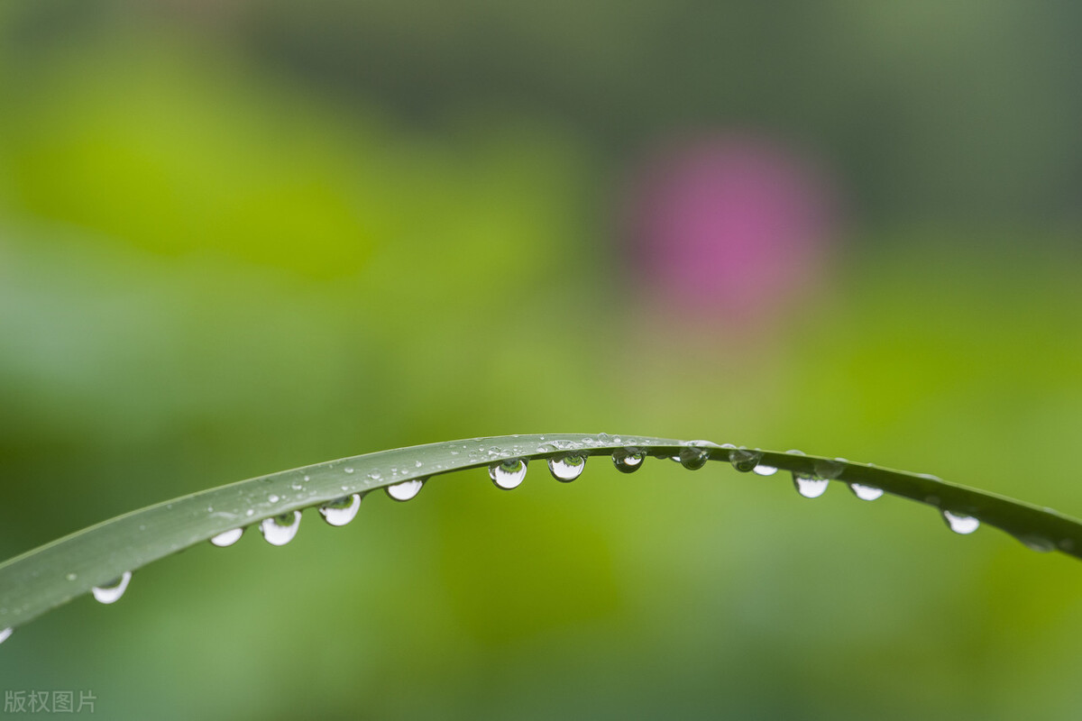 选对方向比努力做事更重要句子,选对方向比努力做事重要经典语录