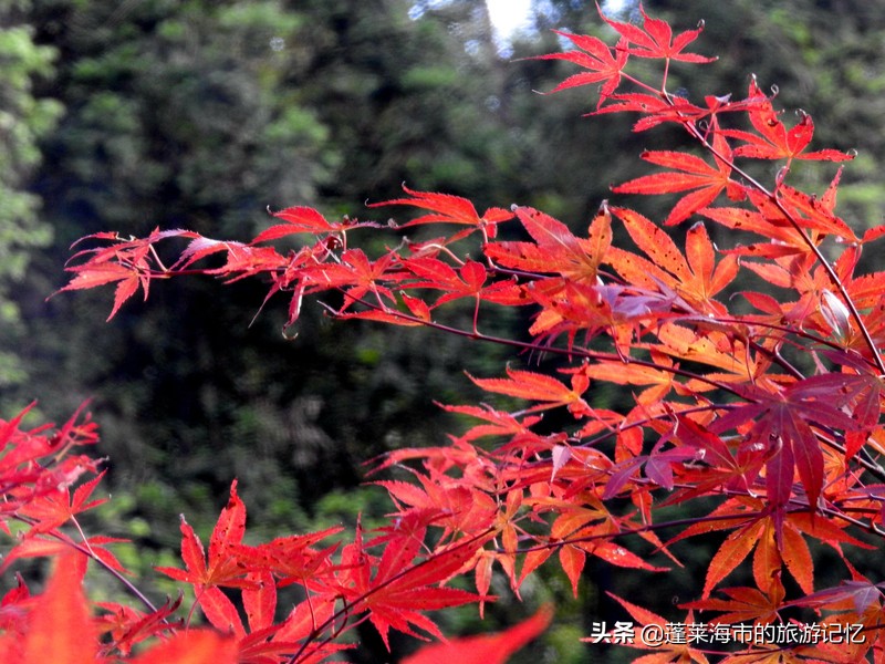 流连于山水之间超然物外,彭水是个好地方山青水秀