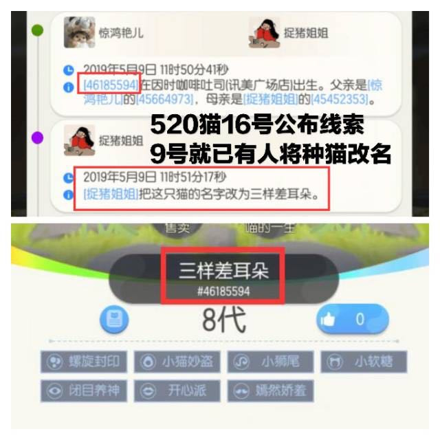 一起来捉妖最新服战,一起来捉妖玩家线下约架事件