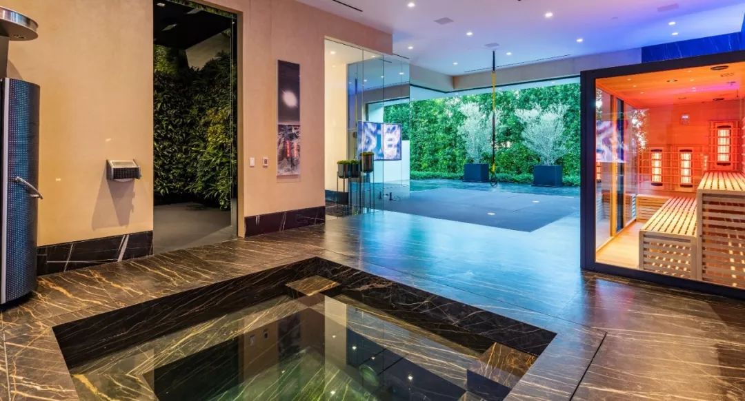 上千亿的顶级豪华别墅,最豪华的高科技别墅