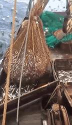 儿子心理有问题怎么办,儿子心理有毛病怎么办