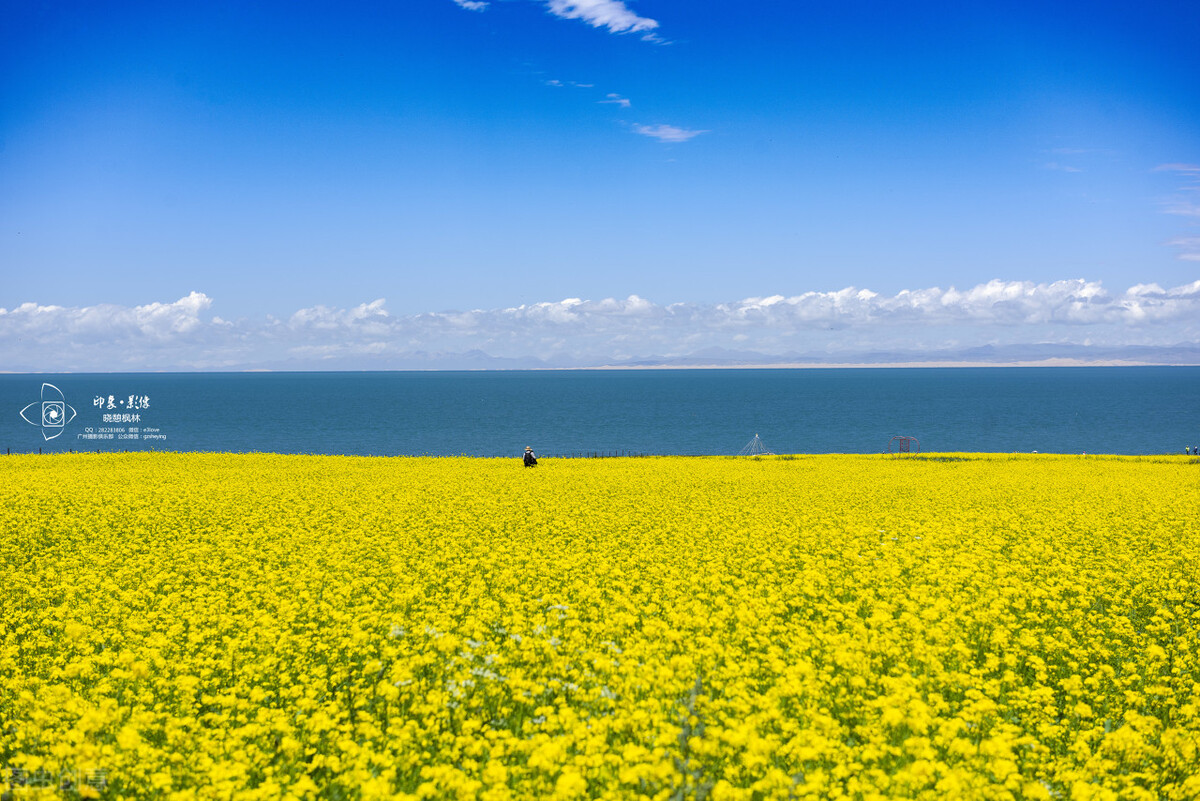 耳鸣一直都治不好怎么办呢,耳鸣老是好不了怎么办
