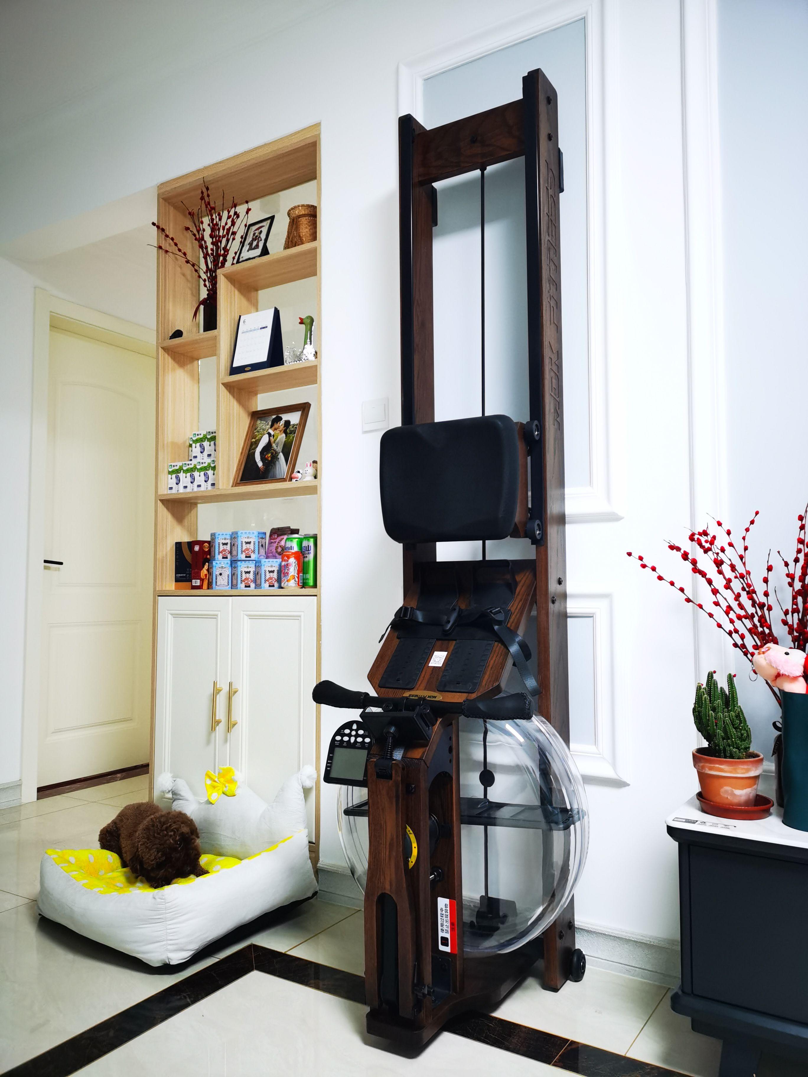 拒了跑步机入坑划船机，用了十天真香了……