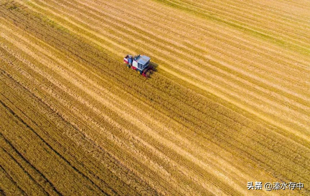 姜堰好吃又好玩的地方,56张美景图片大饱眼福