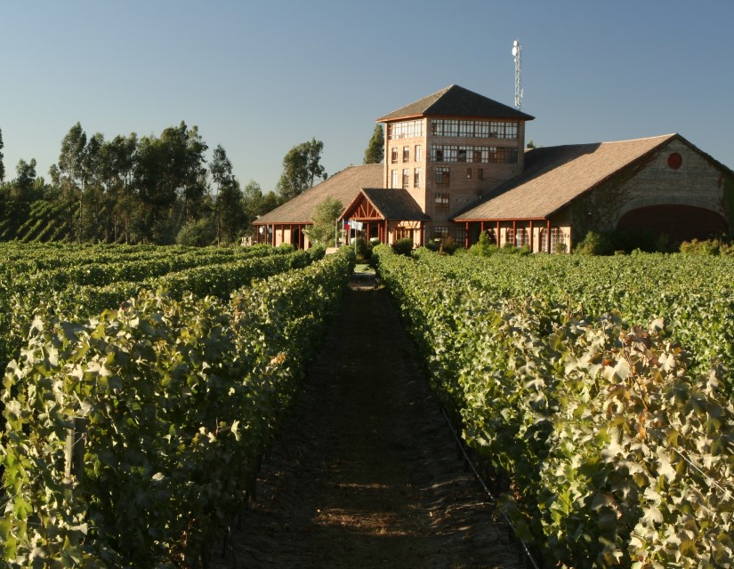 最具性价比的五款酒,100元左右公认十款性价比高的酒