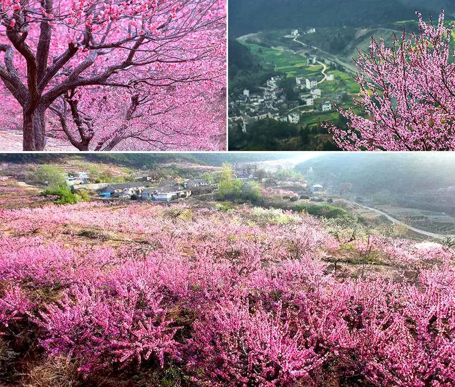 桃花源创意儿童画3-4岁,桃花源记儿童画线稿